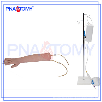 PNT-TA001 Human IV Trainingsarm Modell